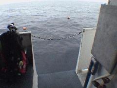 A Loooong Giant Stride.jpg